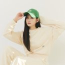 브리즈 이미지