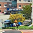 치악산둘레길 1코스 꽃밭머리길 | 치악산 둘레길 제1코스 꽃밭머리길