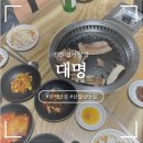 대명마트 | [천안 성거 맛집] 대명 : 삼겹살 맛집 또또또간 후기