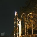 크리스마스 트리로 꾸며진 대구 범어대성당의 아름다운 야경 이미지