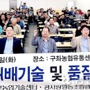 구좌농협농산물유통센터 농민신문
