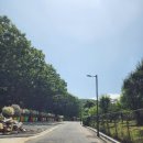 너릿재식당 이미지