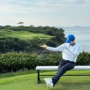 파인피드 이미지