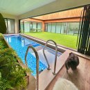 힐스톤애견풀빌라 이미지