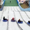 좌구산 썰매장 이미지