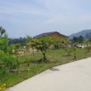 보길면-2 이미지