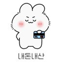 빨라쪼대전 이미지