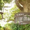 횡간도3 이미지