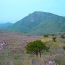 청도자연병원 이미지