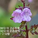 항상기쁜날 이미지