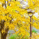 광양 옥룡사지 이미지