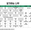 테라피요가(고급) 이미지