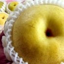 이배농장 이미지