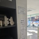 화이트365분당