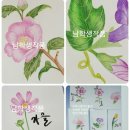 [행복한학교] 색연필 보타니컬 아트 이미지