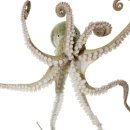 PINK GAME PC 이미지