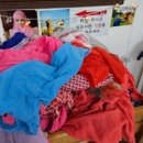 성산경로식당 | 2일차 후기 제주투어패스 나우다 성산일출봉, 낙타...녹차 한 잔, 장승포 식당, 서귀피안 베이커리...