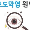 강남푸른안과