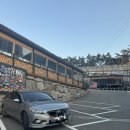 리포비치 이미지