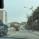 (주)플러스인테리어 | [강원도 삼척 카페] 밀크티 맛집, 플러스마이너스밀크티 삼척점, 내돈내산 후기