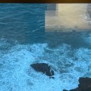 물꼬기 | 회덮밥에 물회에다가 새우라면까지, 완전 혜자 그 자체! 가성비 삼척 맛집 물꼬기 _ 내돈내산 솔직 후기