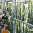 오산농원 영농조합법인 이미지