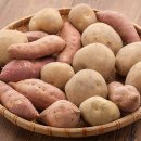 밤나무골 농장 이미지