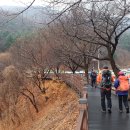 루트4 이미지
