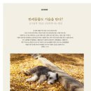 슬기롭게 건강하게 이미지