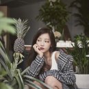 숙녀헤어센스 조선일보