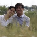 시영농장2 이미지