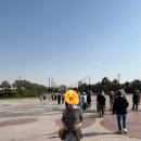 방주물산 | 코카서스 3국과 두바이 여행기 --- 네 번째 방문국(UAE, 두바이)