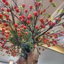 전통항아리보쌈 | [속초현지인맛집] 항아리보쌈 후기