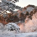 증평 좌구산 휴양림의 설경 이미지