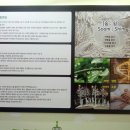 푸른미래컨설팅 이미지