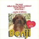 테리비어 이미지