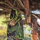 그림정원 이미지