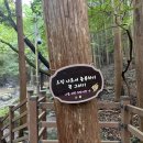 부산 용당 화물차 휴게소(용당내트럭) | 갈맷길 여행기 上