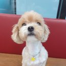 로아동물병원 이미지