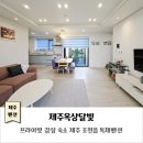 제주옥상달빛 이미지