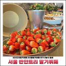서울 반얀트리 딸기뷔페 후기 2025 가격 메뉴 웰컴드링크 총정리 비교