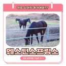 웨스턴스프링스 이미지