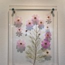 전라남도산림박물관 이미지