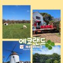 가족이 함께 떠나는 숲체험 & 놀이 - 애벌레 숲 놀이터 | 제주가족여행 제주알파카체험 곶자왈숲을기차타고 떠나는 관광 제주 에코랜드