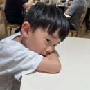 한아름목장 | [아이랑 제주도여행] 제주 이재모피자, 목장카페 밭디, 제주할망밥상, 금능이모네