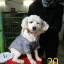 서창파출소 이미지