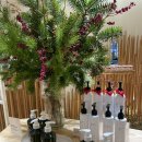 발린 뷰티 이미지