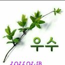 가마백반 이미지