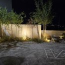 스테이솔올 이미지