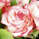 계명유치원 이미지